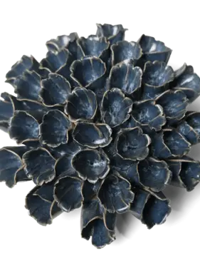 Sea Polyp Blue Grey Beach Coastal