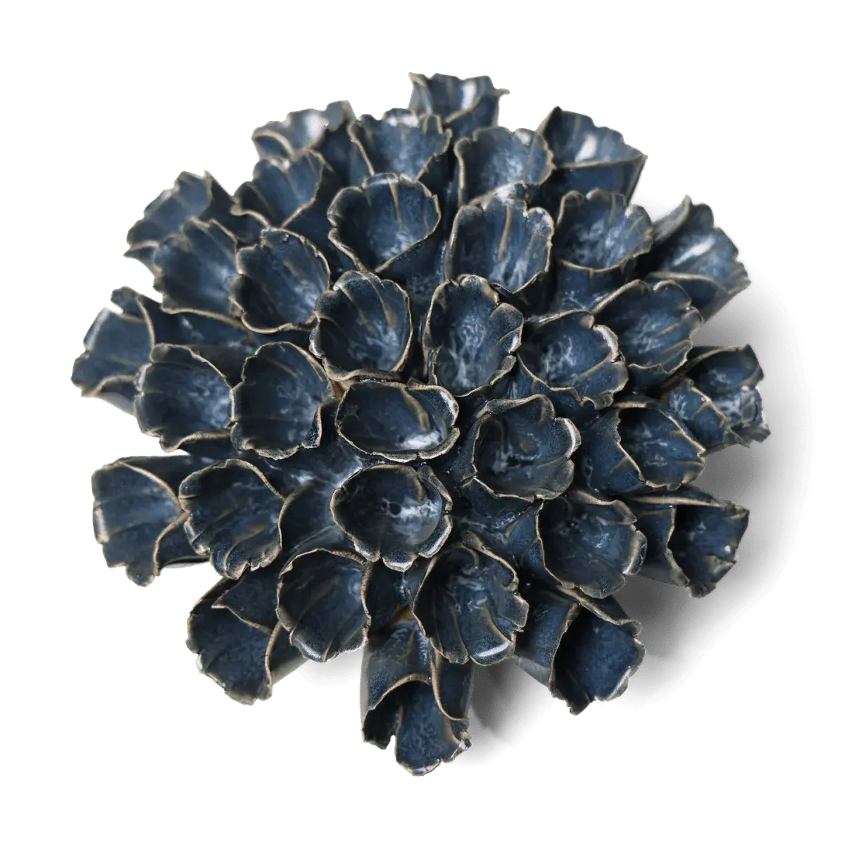 Sea Polyp Blue Grey Beach Coastal