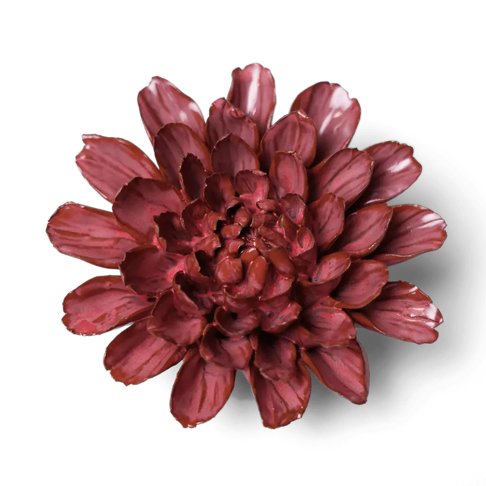 JA17 - Flower - Blush Pink Star Dahlia