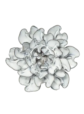 Botanical Home Blue White Hawthorn