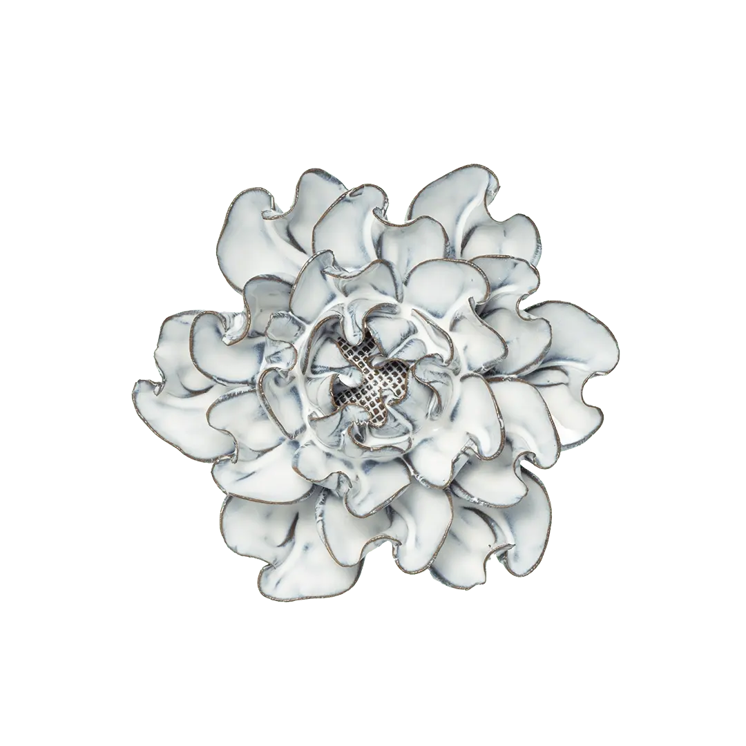 Botanical Home Blue White Hawthorn