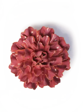 FR36 - Flower - Blush Pink Tundra Carnation