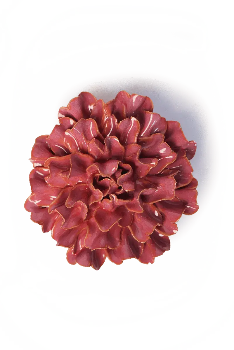FR36 - Flower - Blush Pink Tundra Carnation