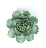 FR27 - Flower - Milk Teal Camellia