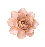FR01 - Flower - Rose Pink Camellia