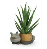 Baby Sleepy Kitty Mini Cat Planter