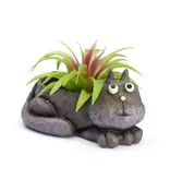 Baby Violet Cat Planter