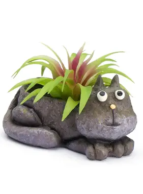 Baby Violet Cat Planter