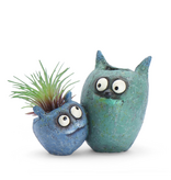 Bloomies Wingman Planter & Air Plant - Blue/Teal