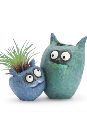 Bloomies Wingman Planter & Air Plant - Blue/Teal
