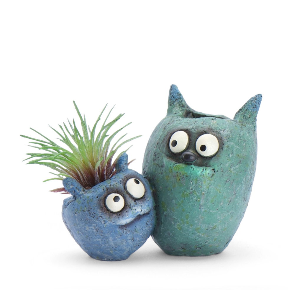 Bloomies Wingman Planter & Air Plant - Blue/Teal