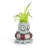 *Ollie Octopus Planter