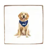 Square Block - Cape Cod Dog