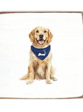 Square Block - Cape Cod Dog