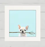 Frenchie Fetch - Happy Square