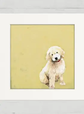 Goldendoodle - Happy Square