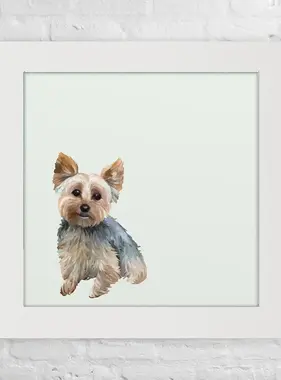 Yorkie - Happy Square