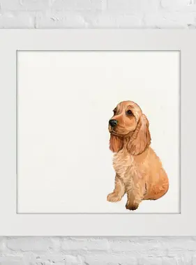 Cocker Spaniel Blond - Happy Square