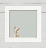 Chihuahua - Happy Square