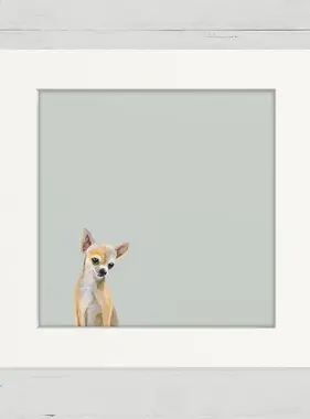 Chihuahua - Happy Square