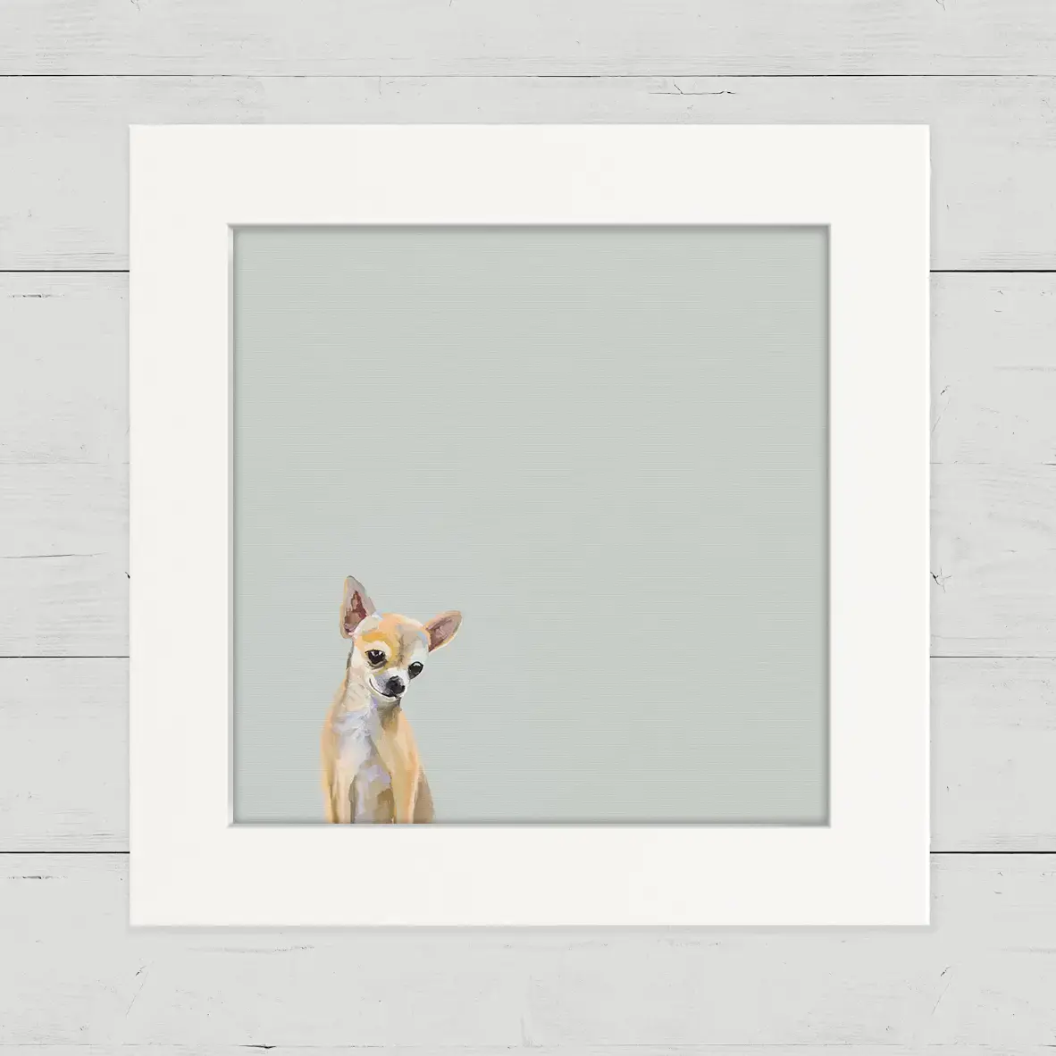 Chihuahua - Happy Square