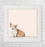 Corgi - Happy Square
