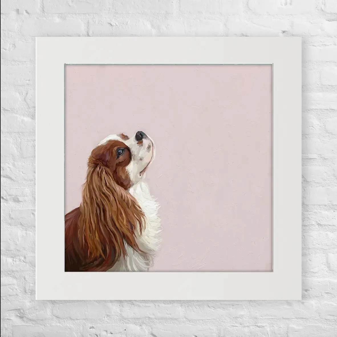 Cavalier Looking Up - Happy Square
