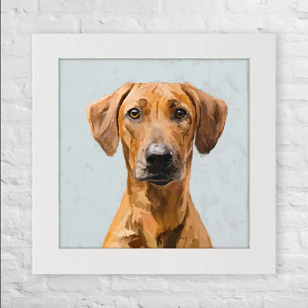 Rhodesian Ridgeback - Happy Square