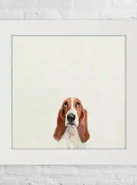 Basset Hound Things Are Looking Up - Happy Square