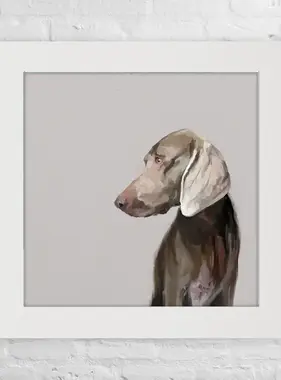 Weimaraner - Happy Square