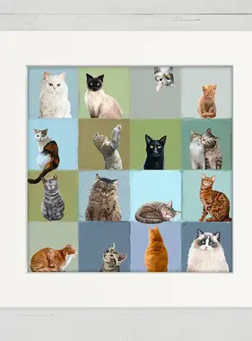 Colorblock Cats - Happy Square