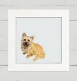 Cairn Terrier Good Boy - Happy Square