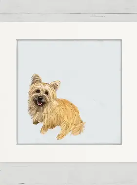 Cairn Terrier Good Boy - Happy Square