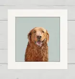 Golden Good Boy - Happy Square