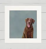 Chocolate Lab - Happy Square