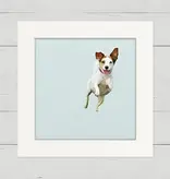 Jack Russell Jump For Joy - Happy Square