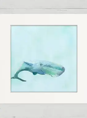 Peaceful Whale - Happy Square