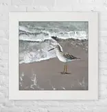 Sandpiper - Coastal Square