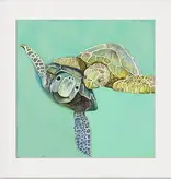 Sea Turtle Honeymoon - Coastal Square