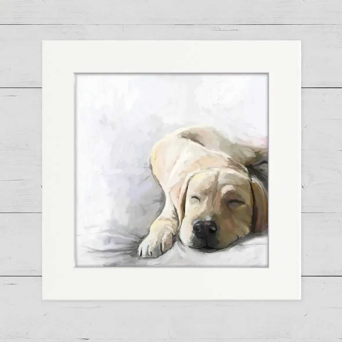 Yellow Lab Sunbathing Sleeping - Happy Square