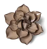 JA18 - Flower - Latte Daffodil