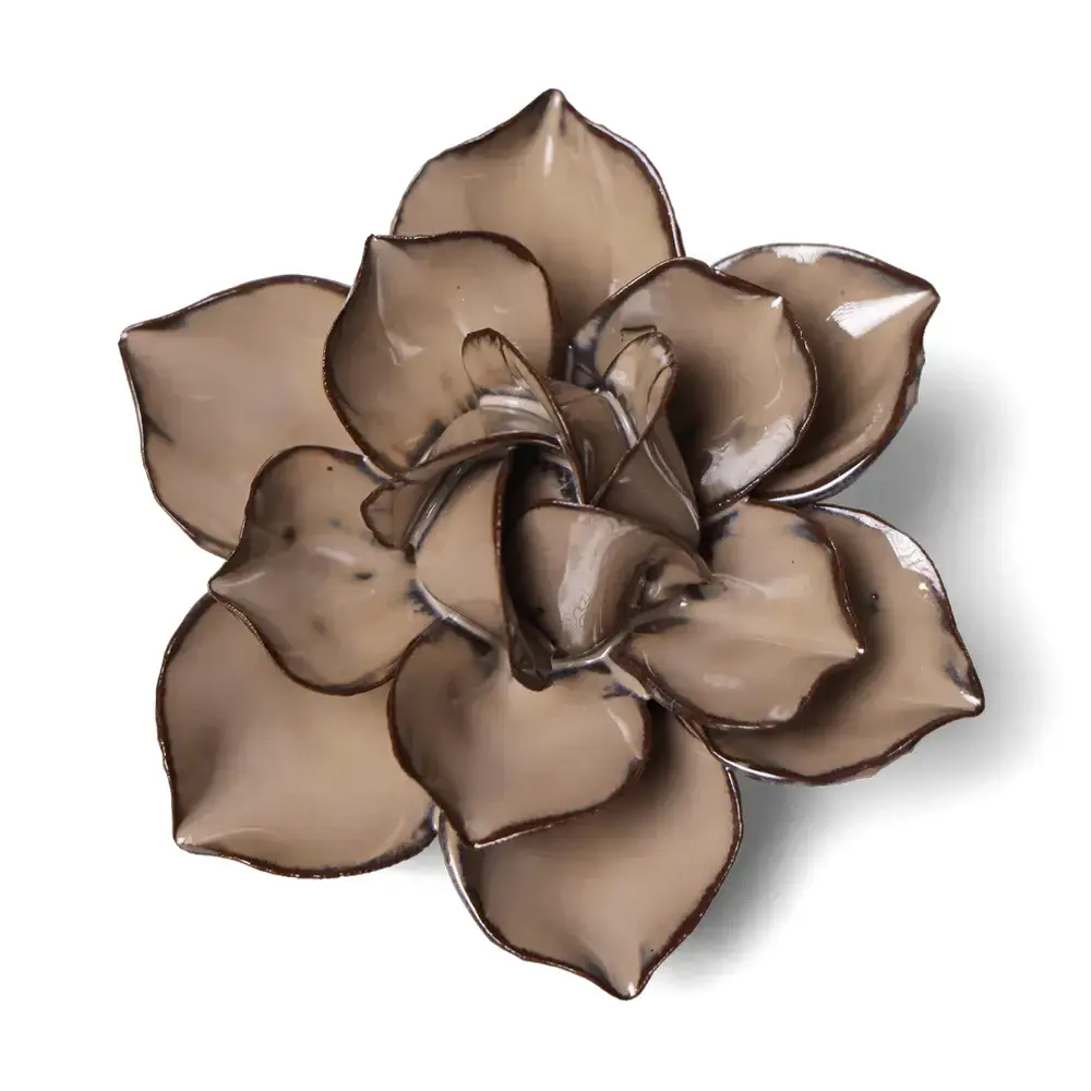 JA18 - Flower - Latte Daffodil