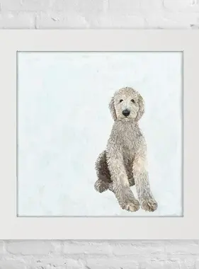 Labradoodle All Legs - Happy Square