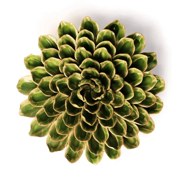 EG20 - Flower - Avocado Green Unicorn Zinnia