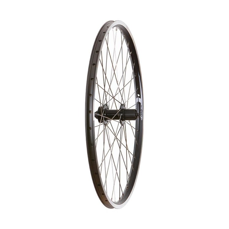 Wheel Shop Wheel Shop, Evo Tour 19 Noir/ Formula DC-22, Roue, Arriere, 26'' / 559, Trous: 36, QR, 135mm, Jante et disque IS 6-boulons, Shimano HG