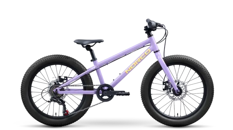 Norco Norco Storm 20 Disc
