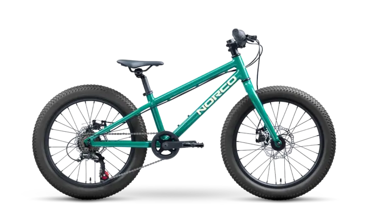 Norco Norco Storm 20 Disc