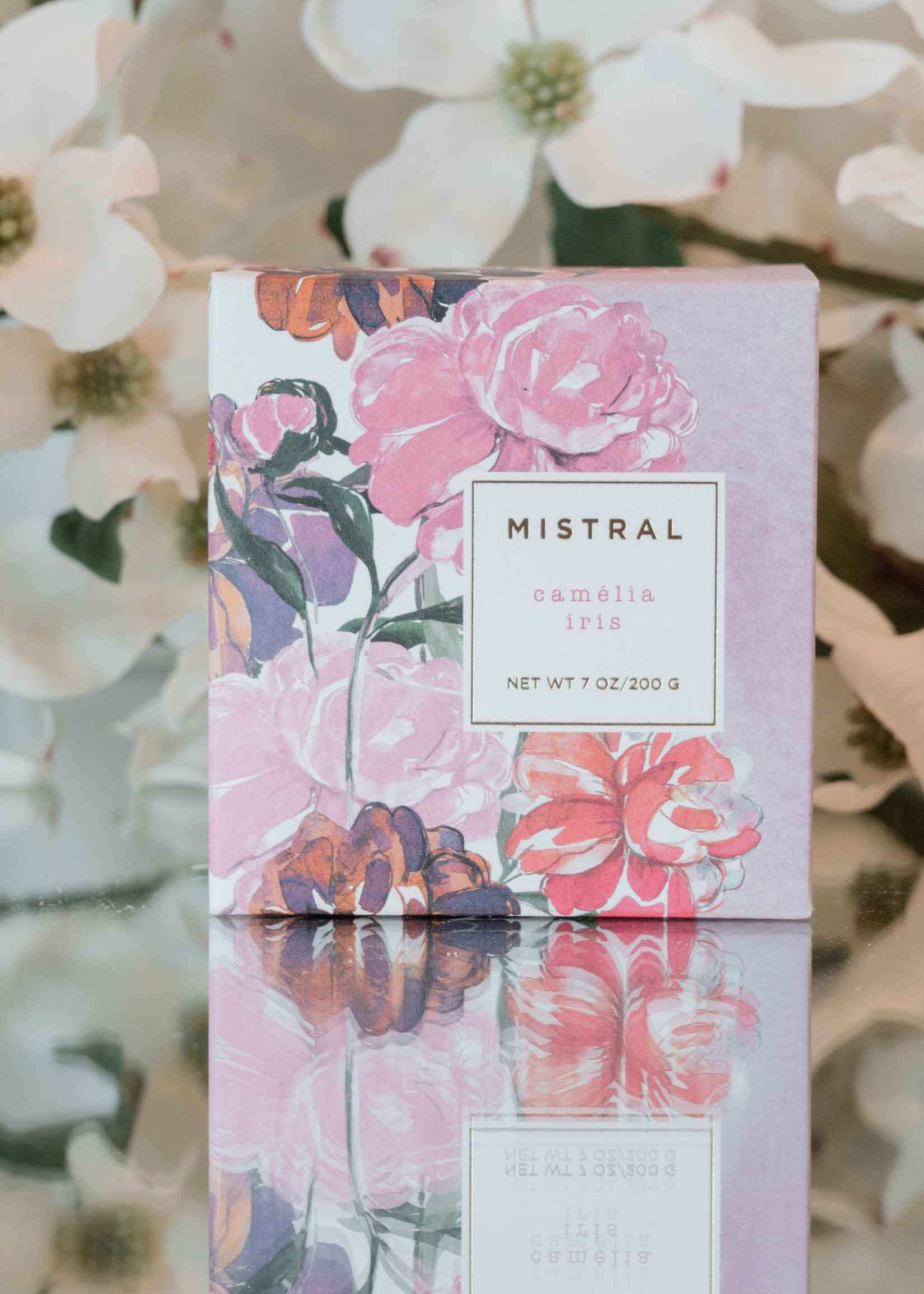 Mistrial Gift Soap