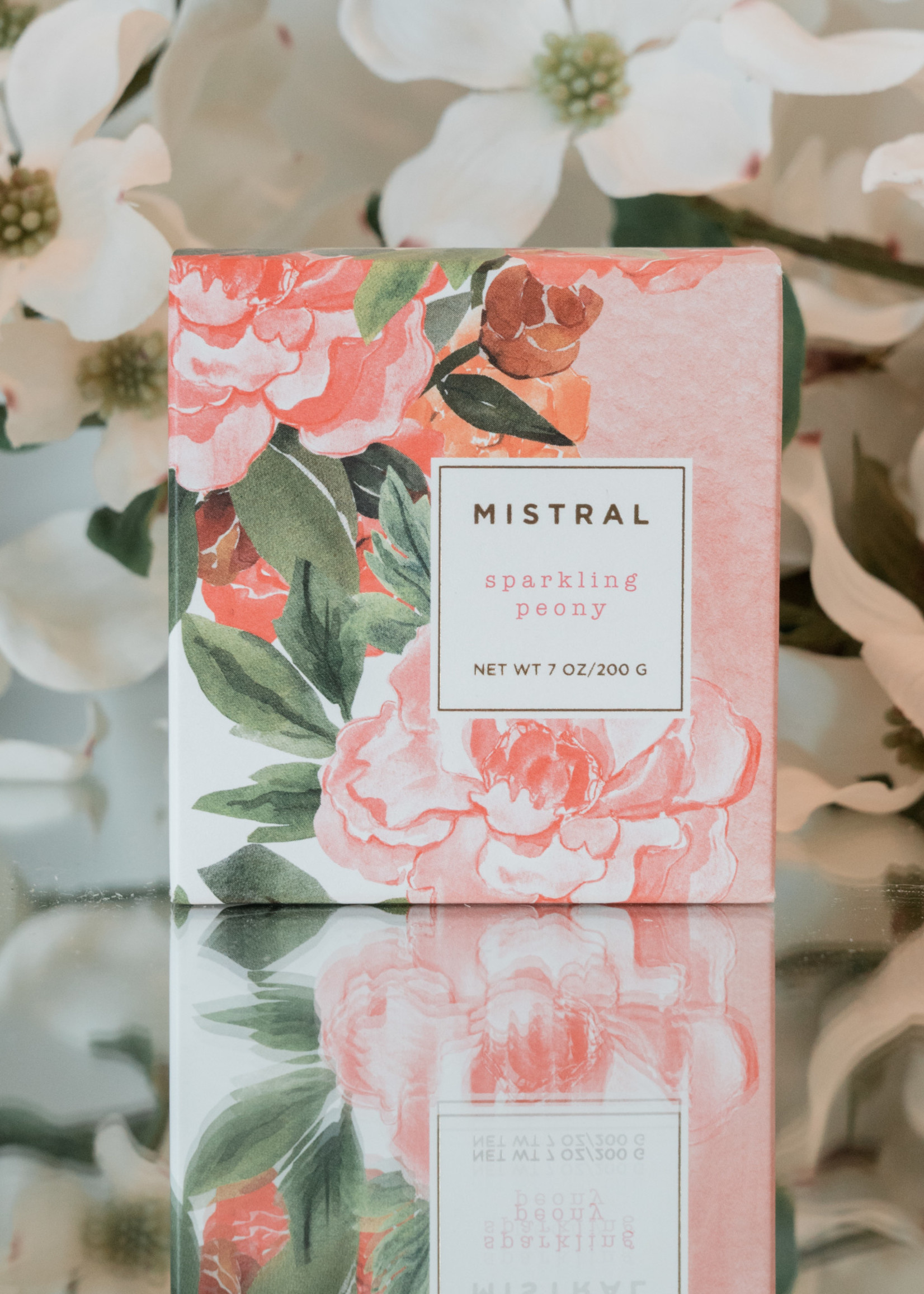 Mistrial Gift Soap