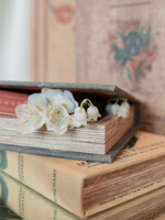 Book Storage Boxes, Set of 2 "Histoire Naturelle?"